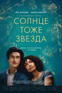 Солнце тоже звезда (2019) смотреть онлайн