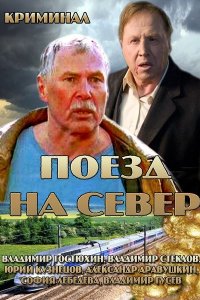 Поезд на север 1, 2, 3, 4 серия смотреть онлайн (сериал 2013)