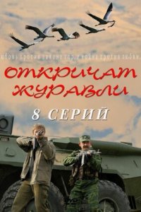 Откричат журавли 1-8 серия смотреть онлайн (сериал 2010)