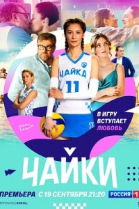 Чайки 1-16 серия смотреть онлайн (сериал 2022)