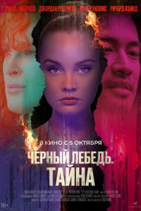 Черный лебедь. Тайна (2023) смотреть онлайн