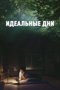 Идеальные дни / Прекрасные дни (2024) смотреть онлайн