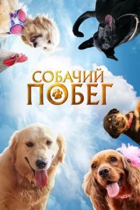 Собачий побег (2024) смотреть онлайн