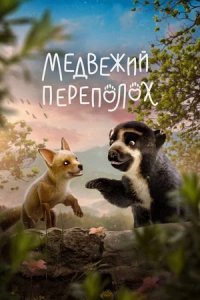 Медвежий переполох (2024) смотреть онлайн