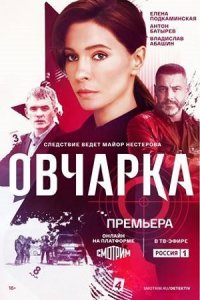 Овчарка 1-16 серия смотреть онлайн (сериал 2024)