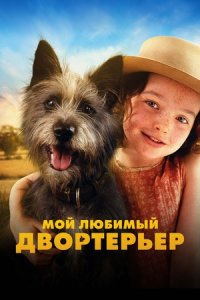 Мой любимый двортерьер (2024) смотреть онлайн